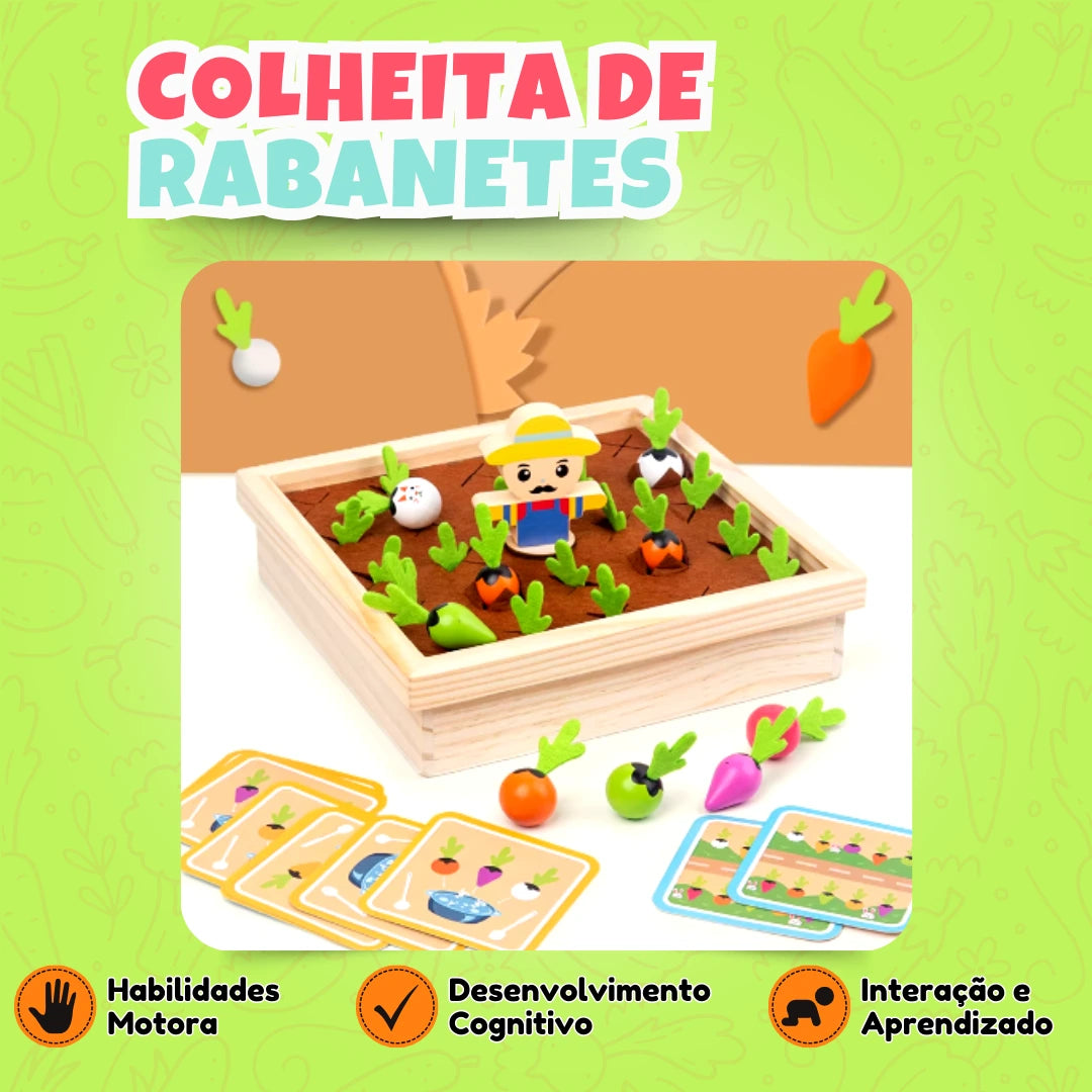 Colheita de Rabanetes