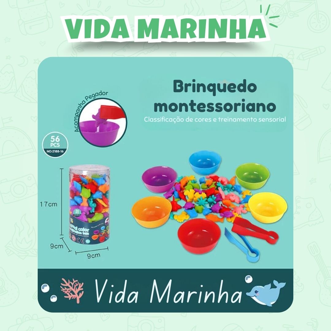 Cores e Formas Montessori